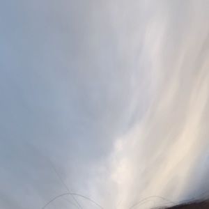 Meet your Posher, Georgie